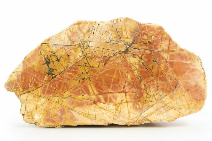 Polished Cherry Creek Jasper - China #318961